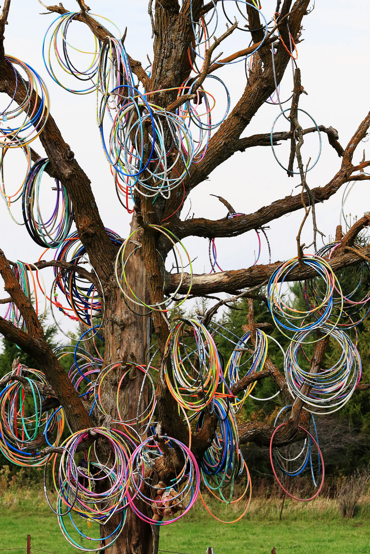 102518-Hula-Hoop-Tree-005
